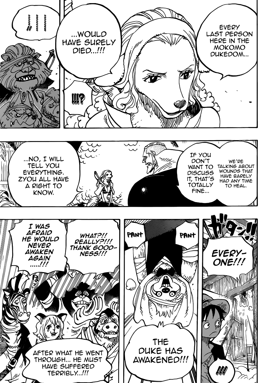 One Piece, Chapter 807 image 13